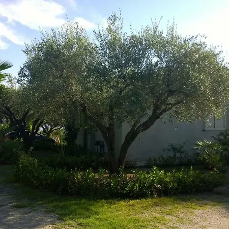 La Scogliera Del Capo Tatil Evi Santa Maria (Vibo Valentia)